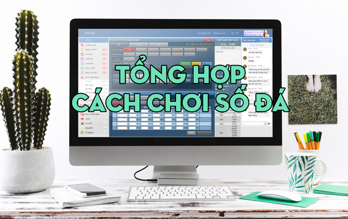 tổng hợp các cách chơi số đá